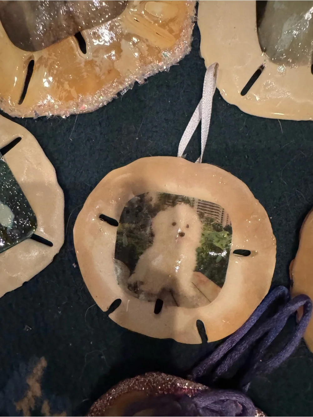 Handmade Beige real  Sand Dollar Pet Photo Ornament -all of them